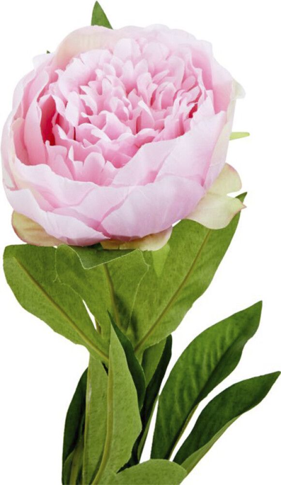 Kunstlill pojengi oks 76 cm, roosa