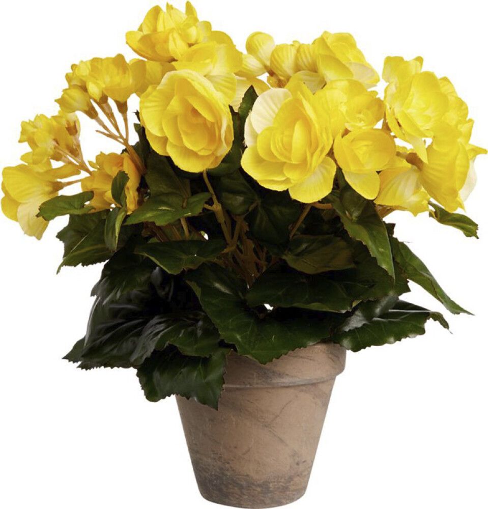 Kunstlill begoonia potis Ø 9 cm, kollane