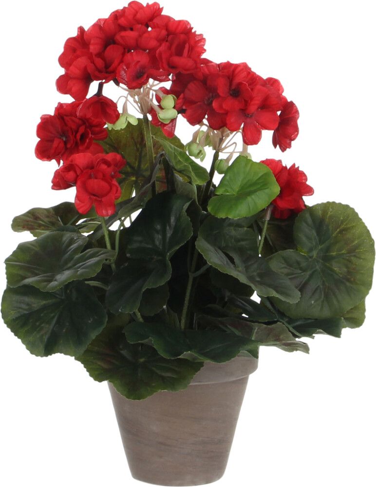 Kunstlill Pelargon Ø 11,5 cm, punane