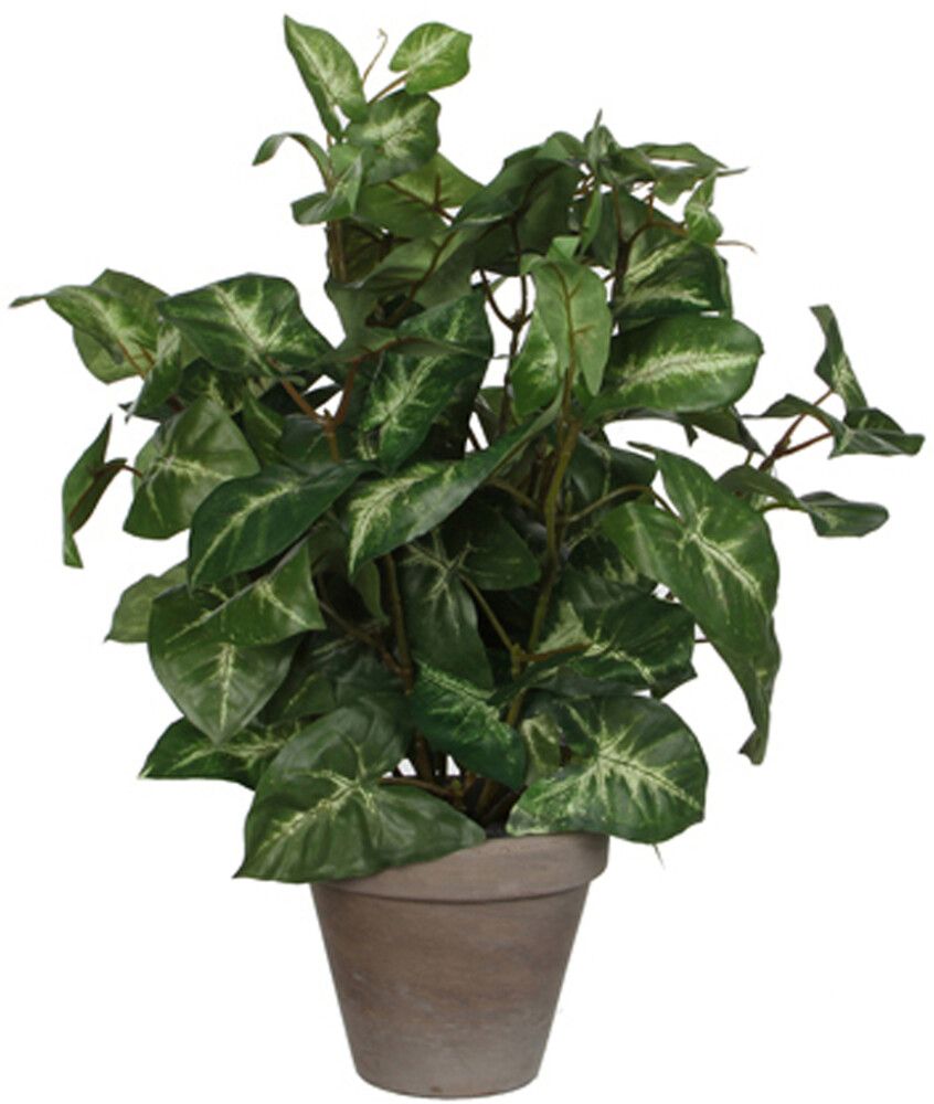 Kunstlill sõrgköis potis 35 cm