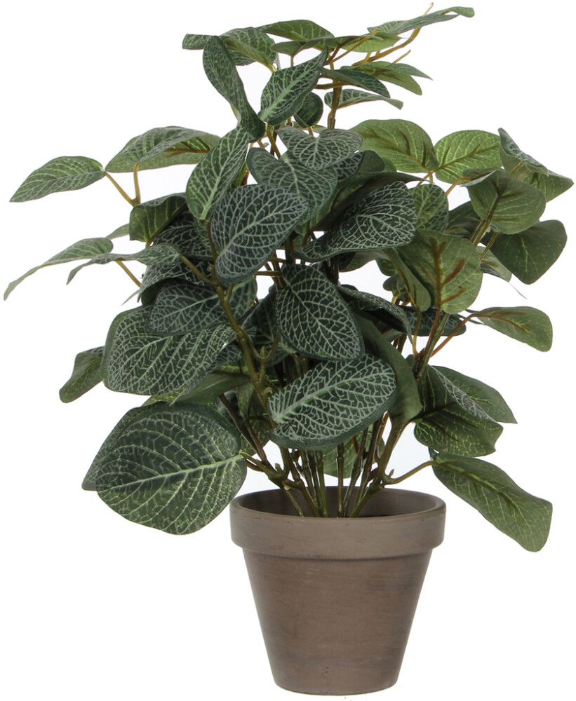 Kunstlill piilea potis 35 cm