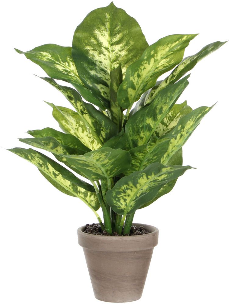 Kunstlill diifenbahhia potis 40 cm