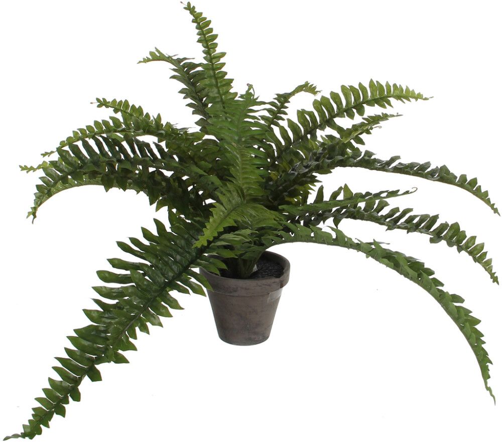 Kunstlill sõnajalg potis 35 cm