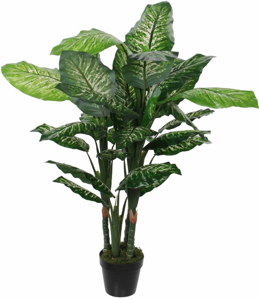 Kunstlill diifenbahhia potis 120 cm