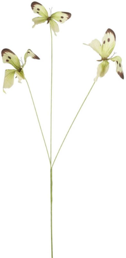 Aiakaunistus liblikas 75 cm, heleroheline