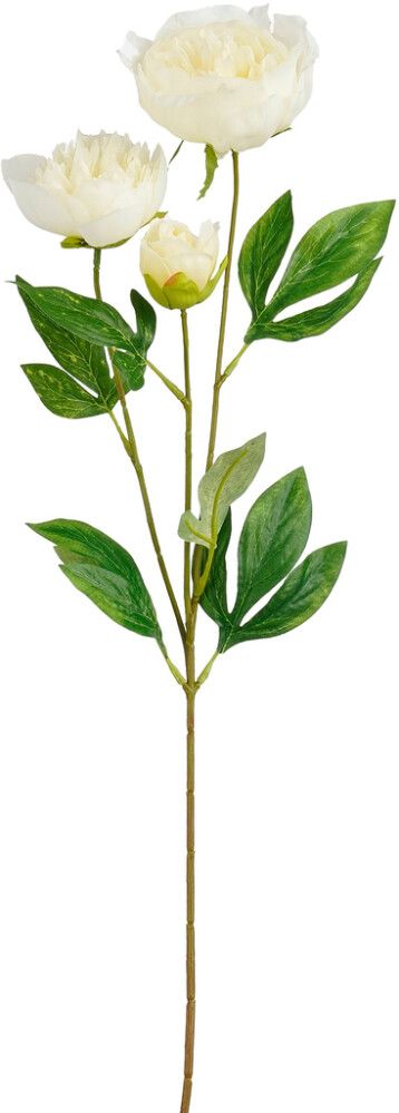 Kunstlill pojengi oks 67 cm, valge