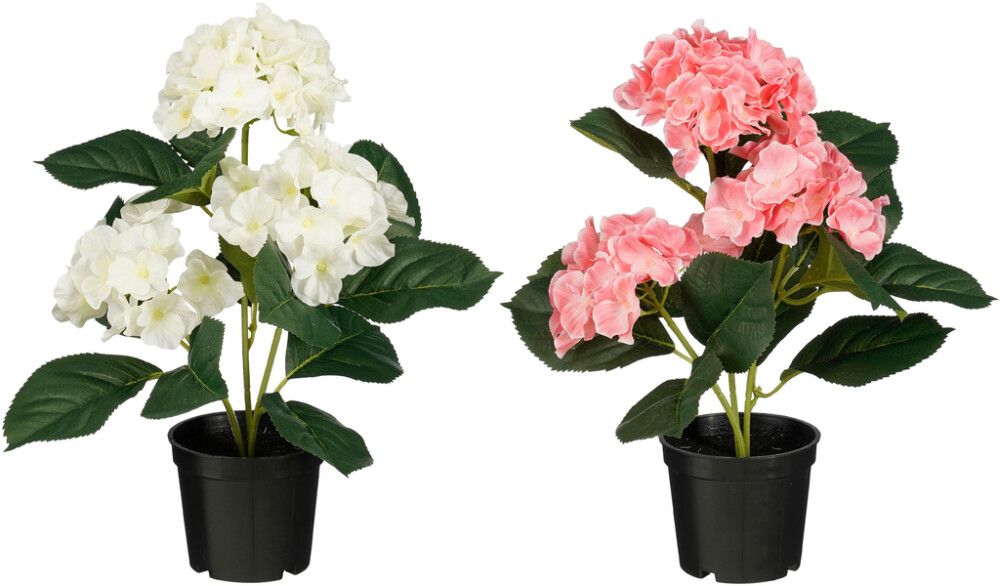 Kunsttaim Hortensia valik