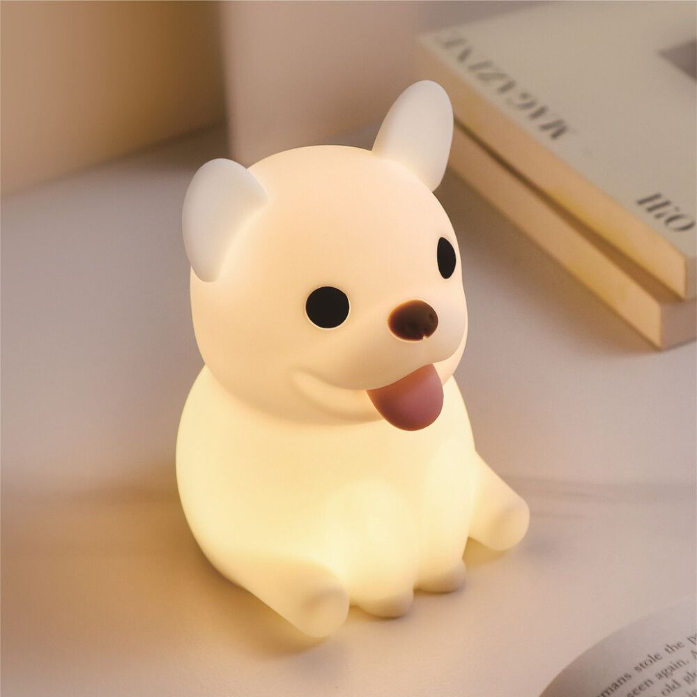 Öövalgusti Harju Koer