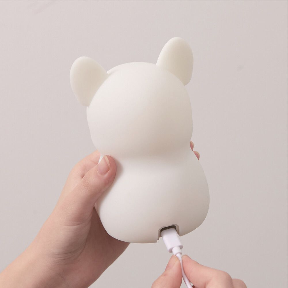 Öövalgusti Harju Koer