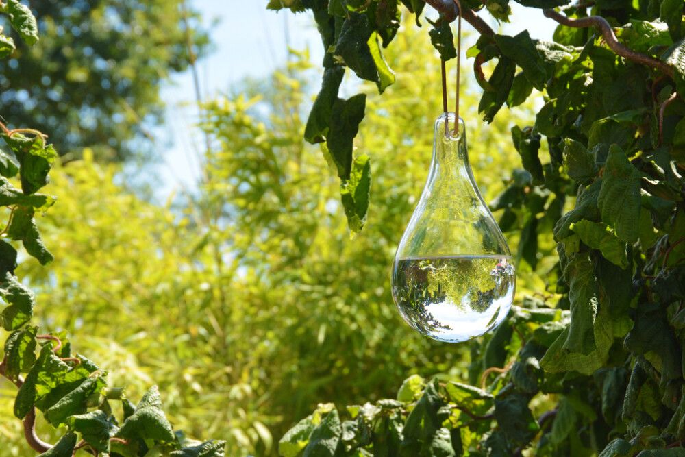 Kärbsepeleti Klaaspisar 11 x 11 x 20 cm