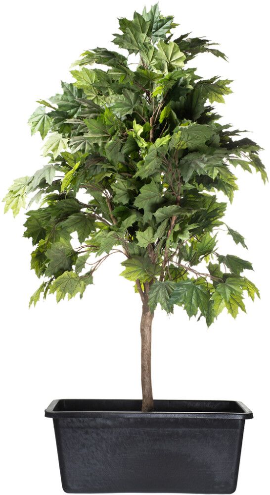 Tiik Victoria Quadro3 150 l