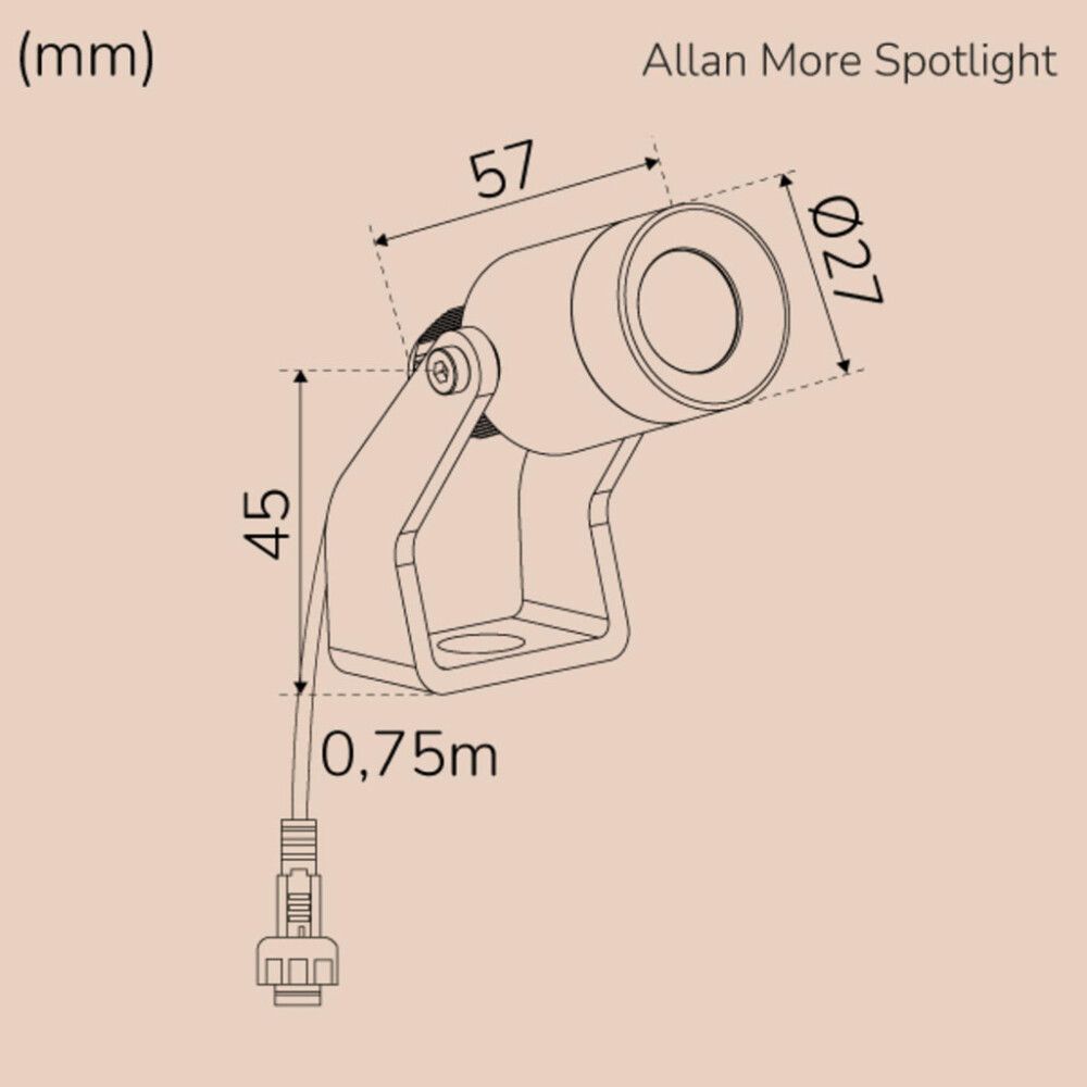 Kohtvalgusti Allan More piigiga