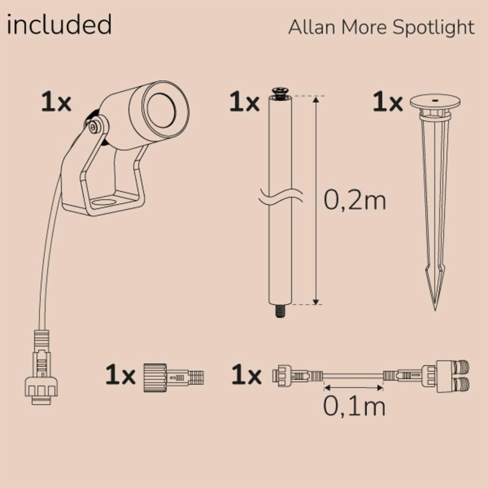 Kohtvalgusti Allan More piigiga