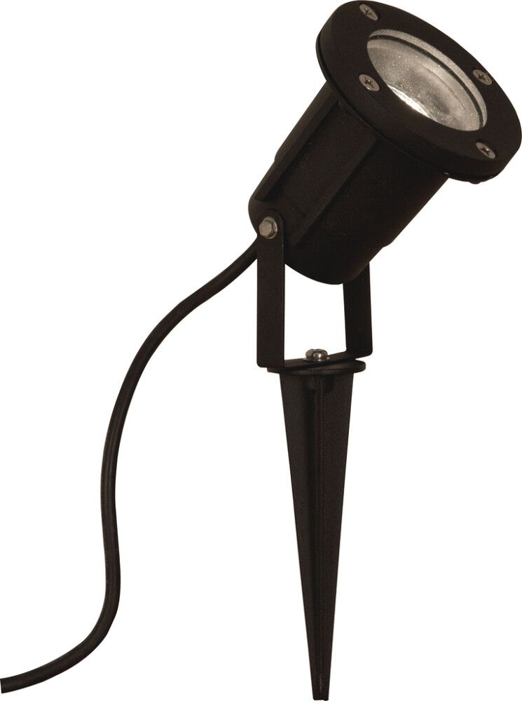 Kohtvalgusti Aneta Backe