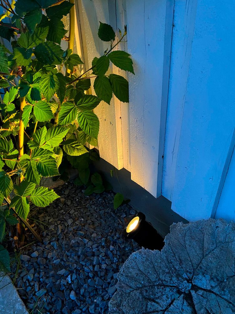 Kohtvalgusti Aneta Backe