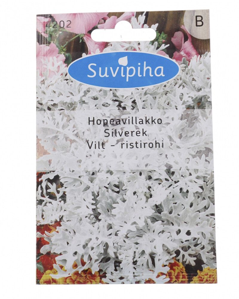 Väikepilt 2