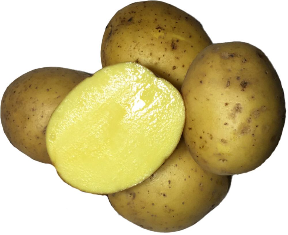 Seemnekartul Paroli A 2,5 kg