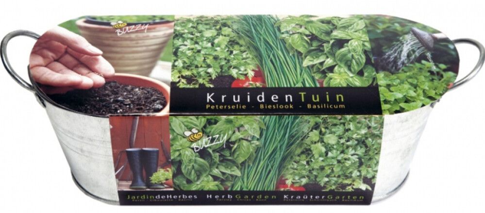 Istutuskomplekt Buzzy aknalauale aromaatsed maitsetaimed