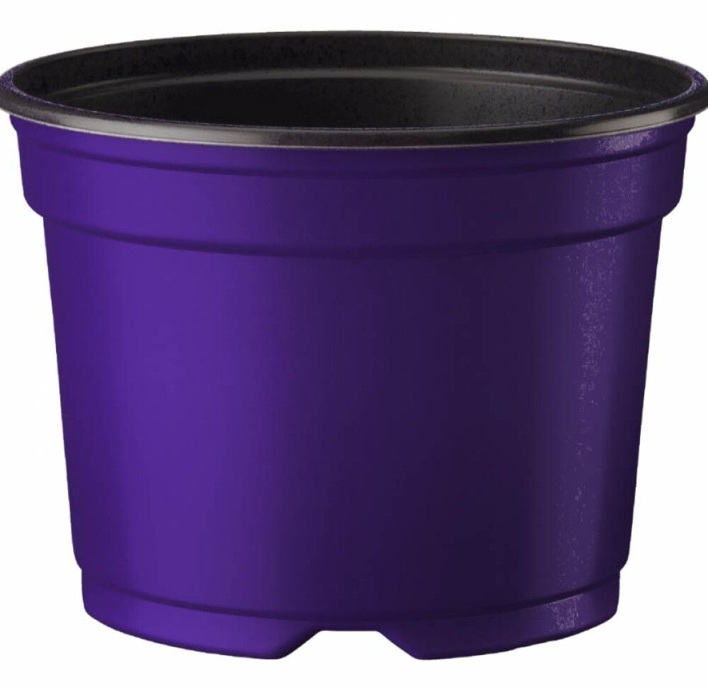 Ümarpott 13 cm, lilla