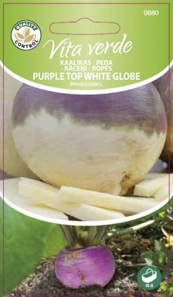Kaalikas Purple top white Globe