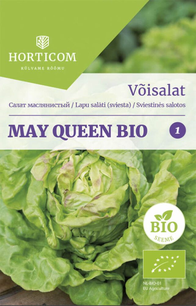 Salat (võisalat) May Queen BIO 1g 1