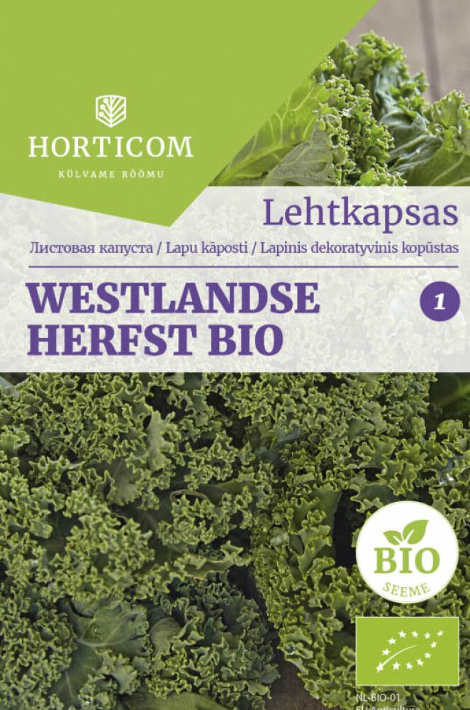 Lehtkapsas Westlandse Herfst BIO 50 seemet 1