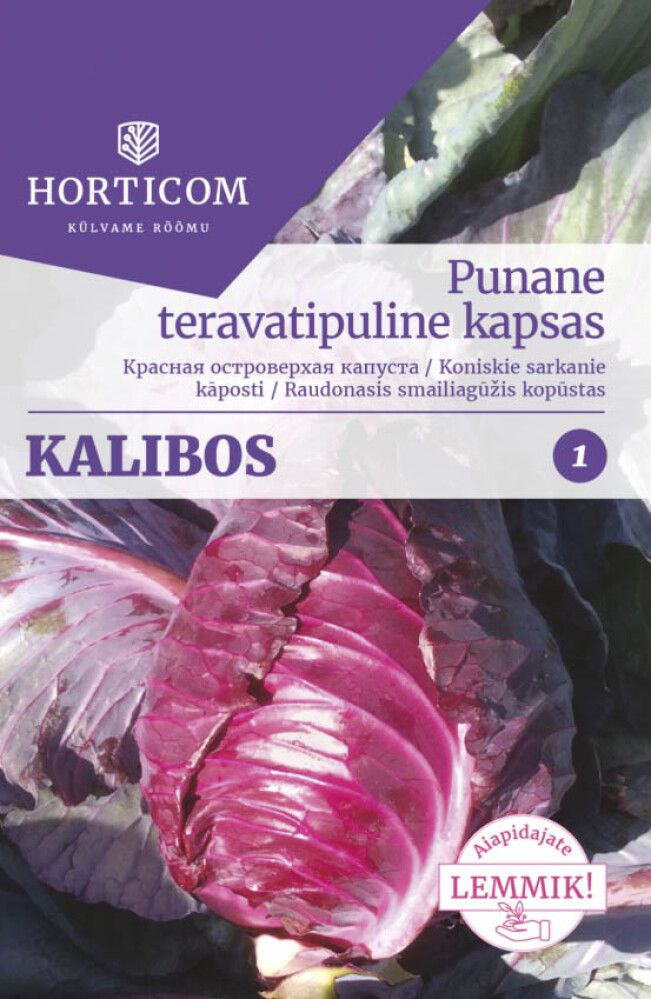 Punane teravatipuline kapsas Kalibos 50 seemet 1