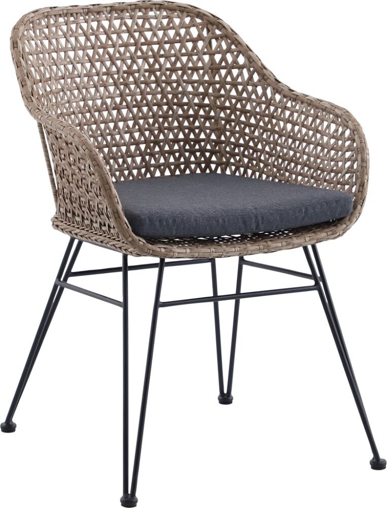 Tool Sunfun Ellen beežikashall