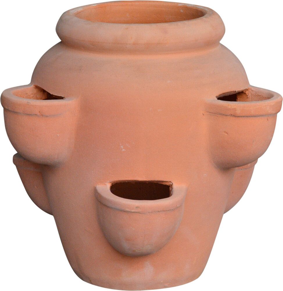 Pott maasikataimedele Terracotta 36 x 40 cm