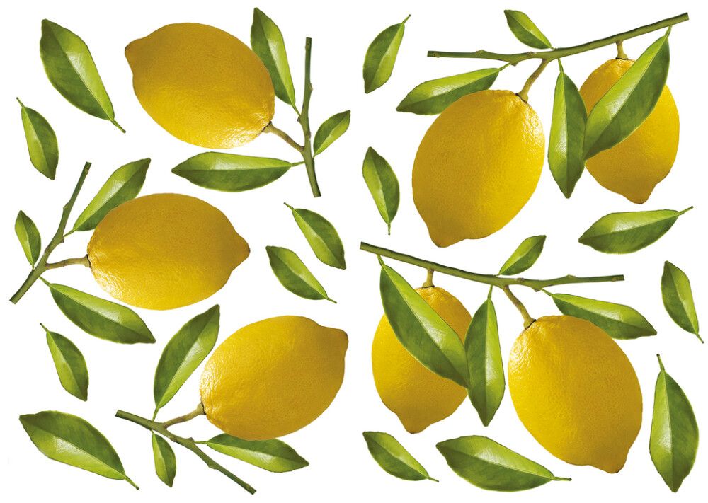 Posterkleebis Plage Sidrunid