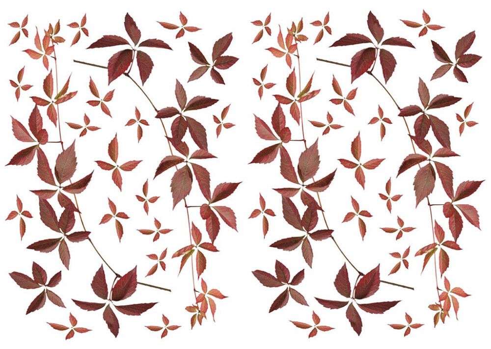 Seinakleebis Plage Sügislehed