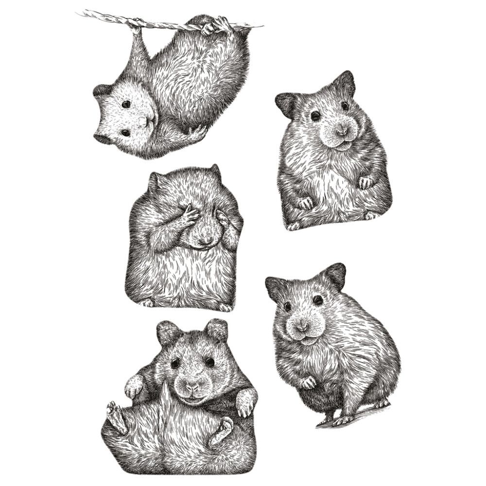 Sisustuskleebis Plage Hiir  S29,7 x 21 cm, 2 tk