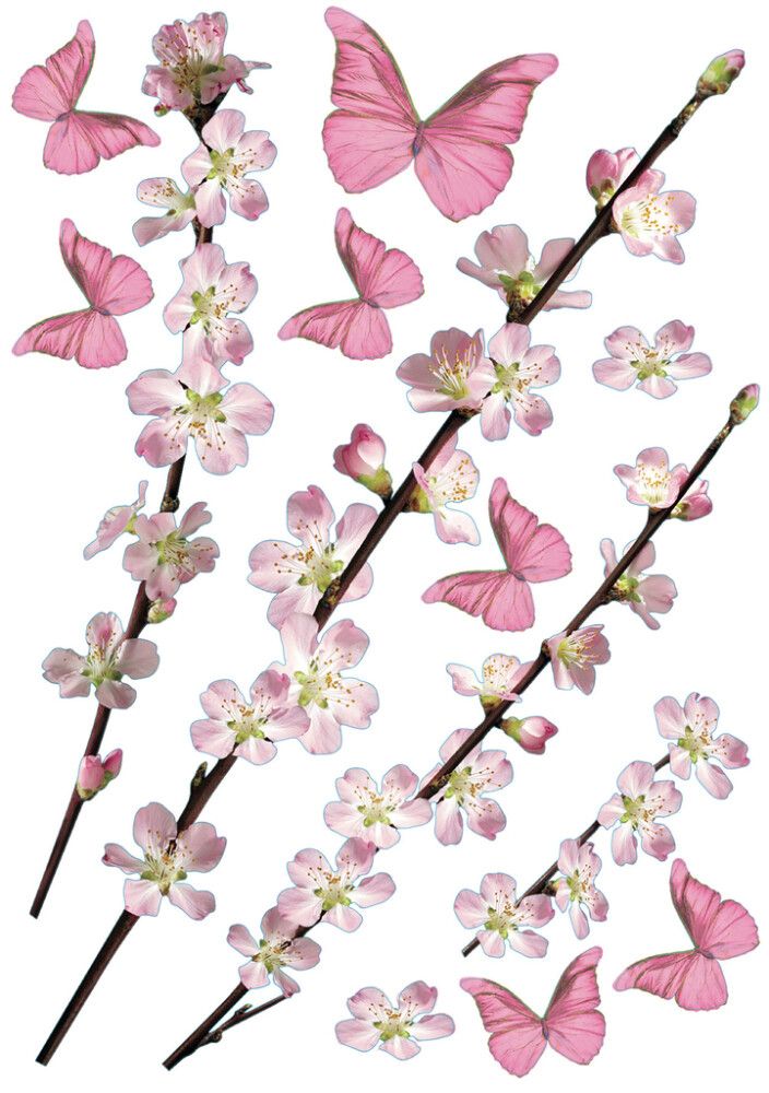 Seinakleebis Plage Õunapuu 2 tk