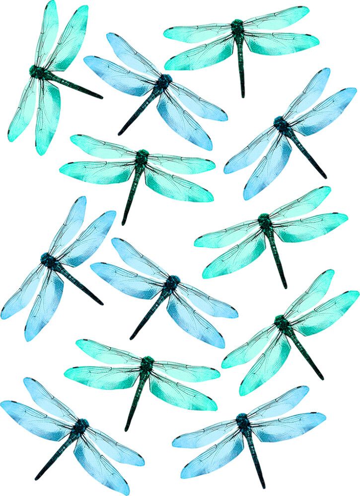 Staatiline kleebis Plage Kiil