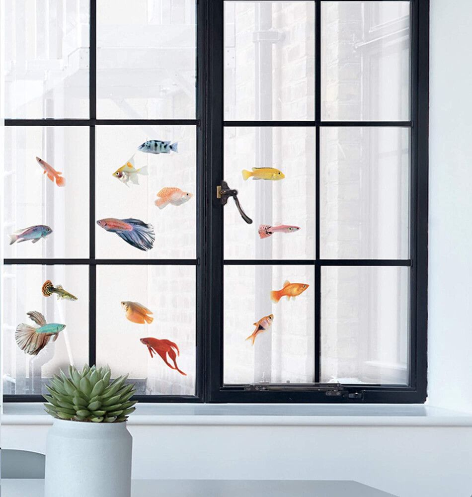 Staatiline kleebis Troopilised kalad