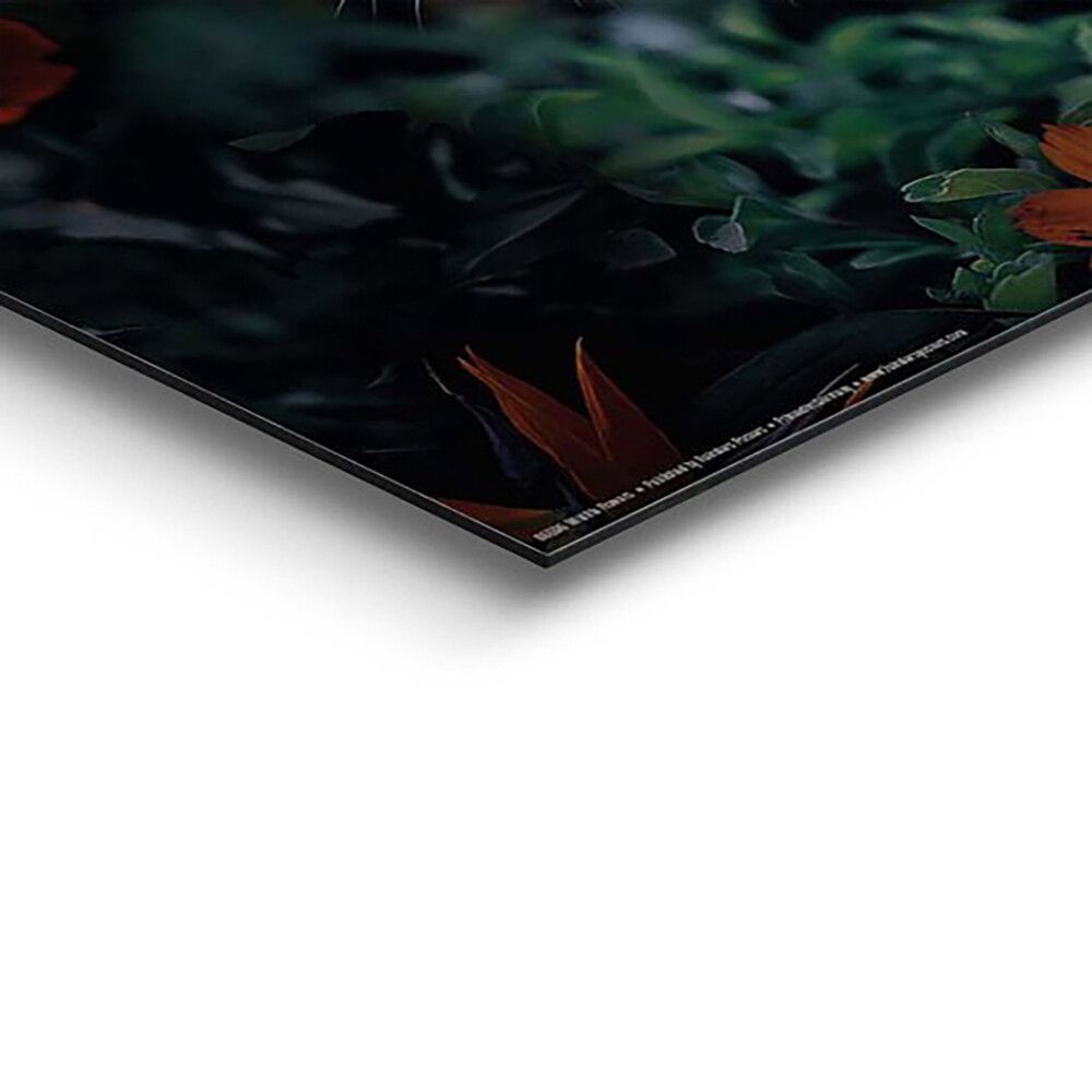 Sisustuspilt Reinders Wildlife Flower 40 x 50 cm