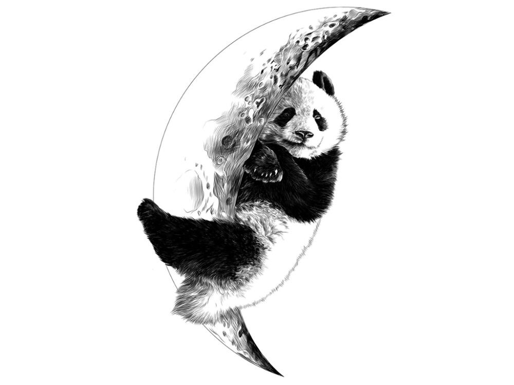 Sisustuskleebis Sleeping Panda 48 x 70 cm