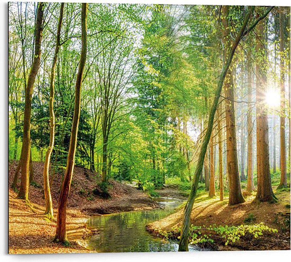 Sisustuspilt Reinders Spring Woods 40 x 50 cm