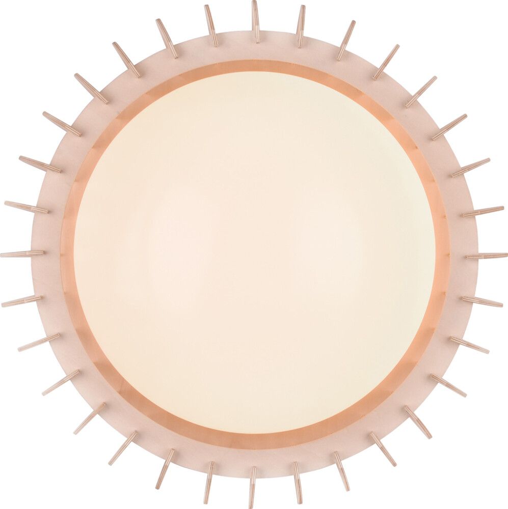 LED-plafoon Reality Leuchten Monte Ø 40 cm