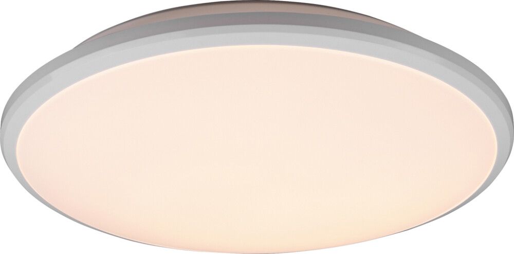 Plafoon Reality Leuchten Limbus