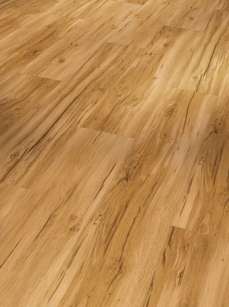 Näidis vinüülparketile Parador Basic 5.3 tamm Memory Natural