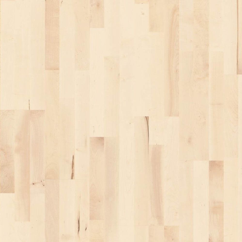 Näidis puitparketile Parador Basic 11-5 valge vaher 11,5 mm