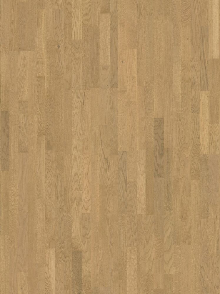 Parkett Parador Basic 11-5 tamm Malbec light-whitewashed 3S