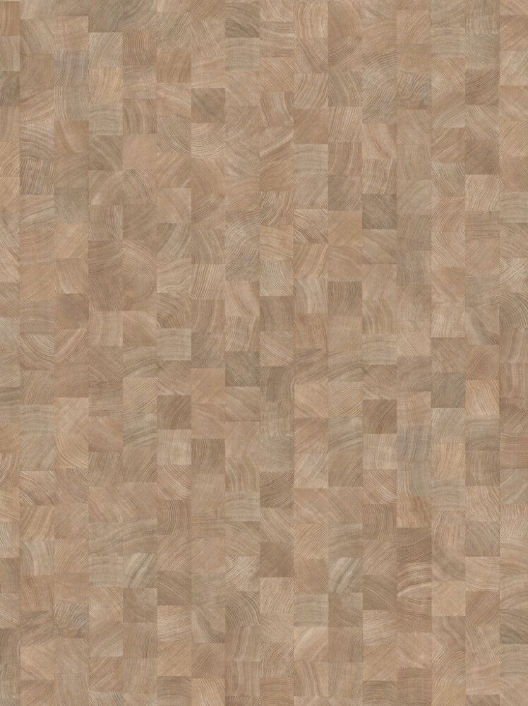 Näidis laminaatparketile Parador Basic 400 tamm Crosscut limed