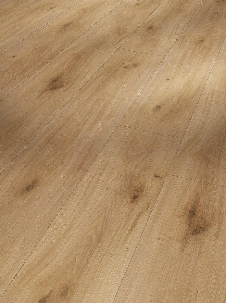 Näidis laminaatparketile Parador Basic 600 tamm Horizont natural