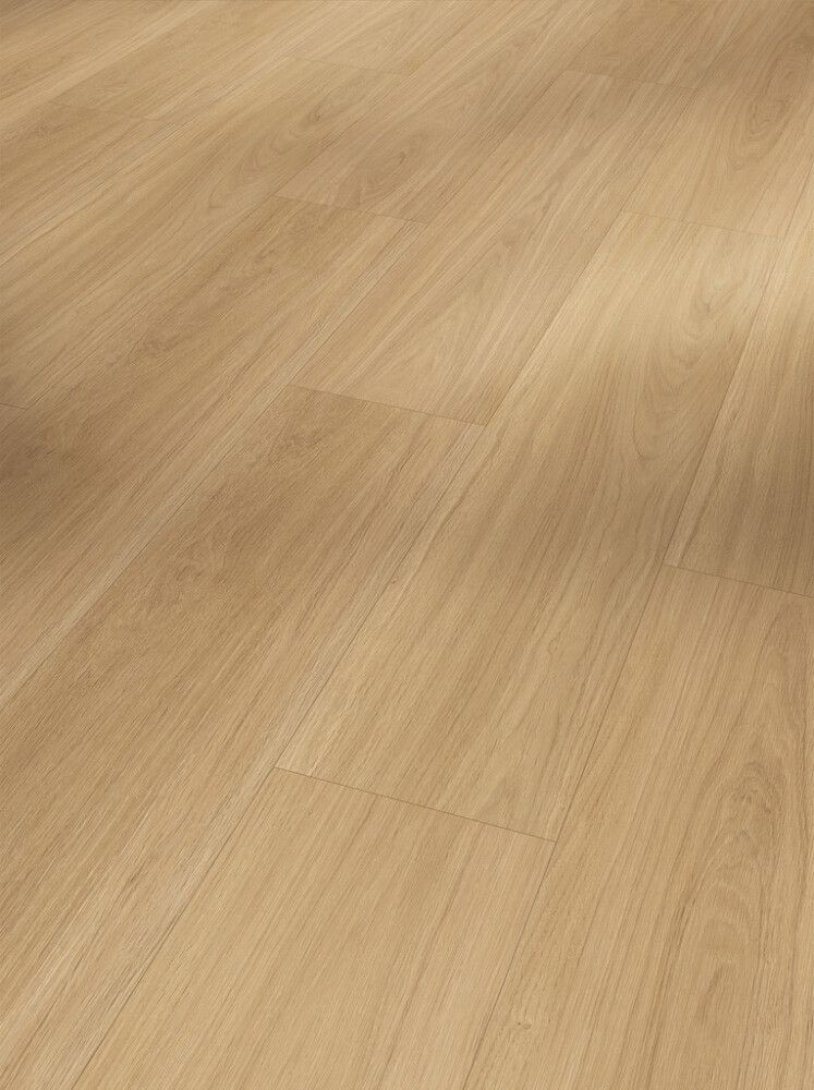 Näidis vinüülparketile Parador Basic 5.3 tamm Oxford Natural