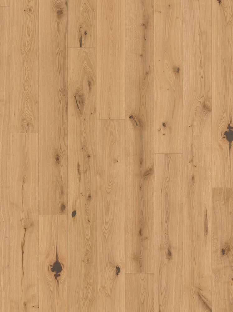 Näidis vinüülparketile Parador Basic 11-5 tamm Chianti light-whitewashed