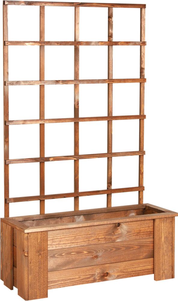 Istutuskast taimetoega