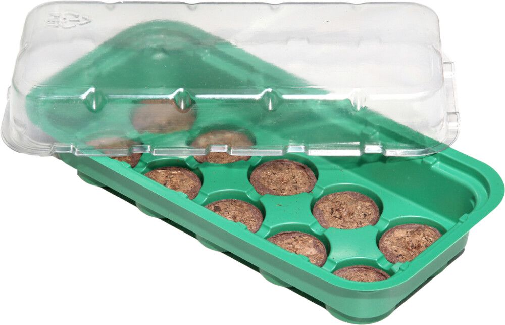 Minikasvuhoone 25,5 x 12,5 x 6,5 cm