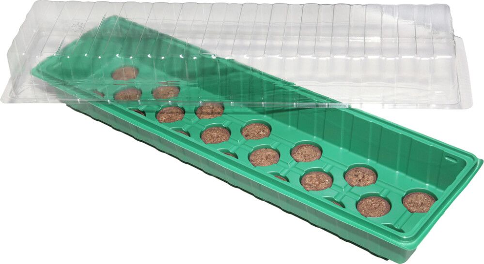 Minikasvuhoone 54,5 x 15,5 x 12 cm